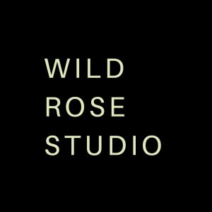 fashion studio logo example